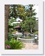 McNay Art museum.