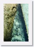 Remains of a spanish rowboat left behind by Desoto's expedition