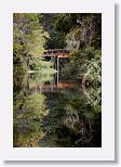 The start of a lovely boardwalk