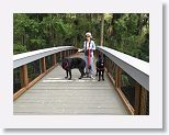 Silver Springs is a pet friendly park