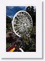 The estate's garden shop was stocked with interesting display items such as this ferris wheel plant hanger