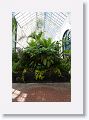 Inside one of many different green houses