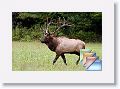 Smokies * (100 Slides)