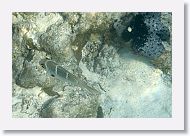 01-Papette-Rangiroa-059