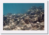 01-Papette-Rangiroa-061