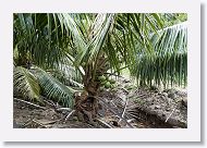 07-Moorea-087