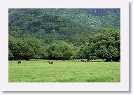 07-Moorea-110