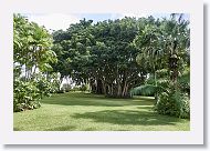 08-Tahiti-039