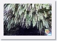 05-Waterfall * (13 Slides)
