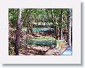 01-OlenoStatePark * (19 Slides)