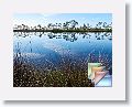 03-BigLagoonStatePark * (29 Slides)
