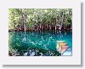 08-ManateeSpringsStatePark * (80 Slides)