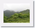 Rainforest and Cloudforest