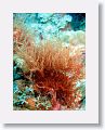 Harbour Reef is a large, circular reef in the middle between 2 shipping lanes
