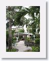 Ocean Terrace Inn, St Kitts