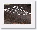 Pre-Columbian petroglyph that someone thought would be more visible with a little white paint