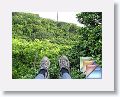 Zipline * (16 Slides)