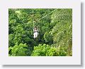 Sky Safaris Zipline at Wingfield Estates ruin, line #3 (Mango Tango) which is 1000ft long