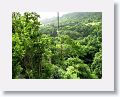 Sky Safaris Zipline at Wingfield Estates ruin,  line #4 (Brimestone Blast) which is 900ft long