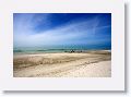 Indian Shores Beach at Suncoast Seabird Sanctuary