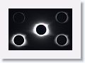 Totality Domino