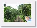 WallerField * (32 Slides)