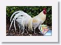 May * (70 Slides)