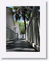 Pat liked this walkway of shade and shadows