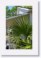 Pat liked how this frond formed a frame within the frame of a front porch
