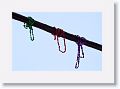 Like ghosts of celebrations past, beads hang from utility lines over 7th Avenue