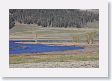 Lamar Valley