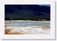Mammoth Hot Springs