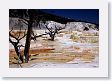 Mammoth Hot Springs