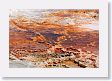 Mammoth Hot Springs