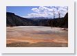 Mammoth Hot Springs