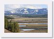 Yellowstone River in Hayden Valley
