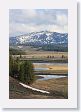 Yellowstone River in Hayden Valley