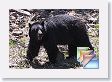 Thu * (182 Slides)