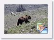 Tue * (163 Slides)