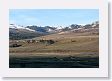 Early morning in the Lamar Valley