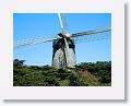 Dutch windmill at the Queen Wilhelmina Tulip garden.