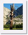 Upper and Lower Yosemite Fall.