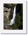 Lower Yosemite Fall.