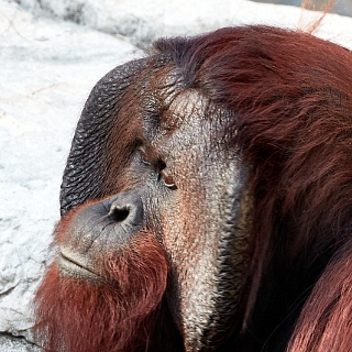 01b-David-005