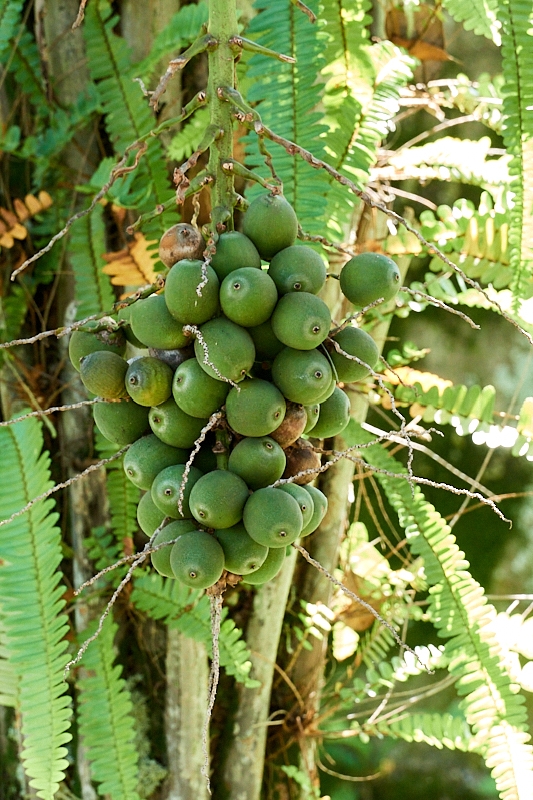 09a-Pat-044